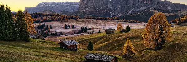 Jesień, Góry Sassolungo, Seiser Alm, Wschód słońca, Dolomity, Drzewa, Domy, Włochy