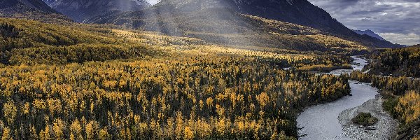 Drzewa, Żółte, Rzeka, Góry, Jesień, Stany Zjednoczone, Alaska, Matanuska River, Modrzew