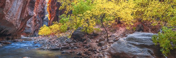 Jesień, Kanion Zion Narrows, Stany Zjednoczone, Drzewa, Kamienie, Rzeka, Virgin River, Park Narodowy Zion, Skały, Stan Utah