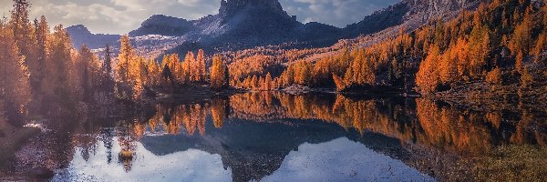 Drzewa, Żółte, Jezioro, Góry, Jesień, Włochy, Trawa, Lago Federa, Modrzew