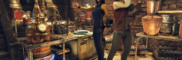Fallout 76, Gra, Postacie