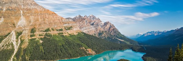 Kanada, Peyto Lake, Góry, Jezioro, Park Narodowy Banff, Alberta, Lasy