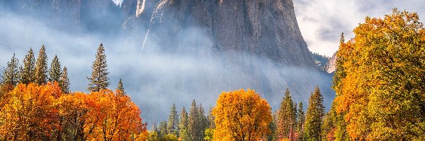 Skały, Kalifornia, Góry, Drzewa, Park Narodowy Yosemite, Jesień, Mgła, Stany Zjednoczone