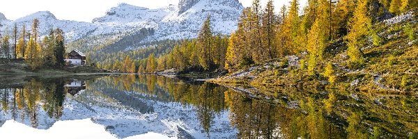 Las, Lago Federa, Dolomity, Góry, Jesień, Włochy, Cortina dAmpezzo, Jezioro, Drzewa