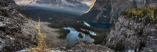 Lake OHara, Mary Lake, Drzewa, Park Narodowy Yoho, Góry, Kanada, Kolumbia Brytyjska, Jeziora, Chmury
