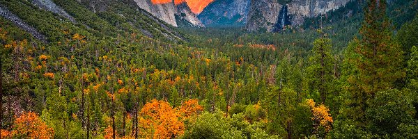Yosemite Valley, Dolina, Park Narodowy Yosemite, Kalifornia, Stany Zjednoczone, Las, Drzewa, Góry, Jesień