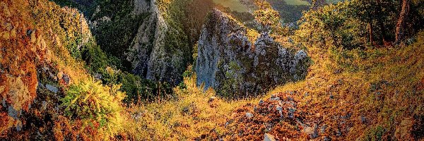 Jesień, Sulowskie Wierchy, Słowacja, Promienie słońca, Szczyt Velky Manin, Skały, Drzewa, Góry