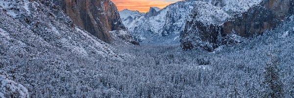 Góra El Capitan, Stany Zjednoczone, Zima, Kalifornia, Park Narodowy Yosemite, Skały, Drzewa