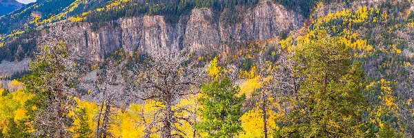 Góry, Drzewa, Stany Zjednoczone, Kolorado, Las, San Juan Mountains, Telluride, Jesień