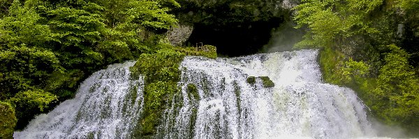 Wodospad, Skała, Jaskinia, Drzewa, Las