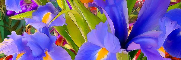 Kwiaty, Irysy, Kolorowe, Fractalius, Liście