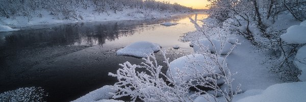 Rzeka, Krzewy, Oszronione, Śnieg, Zima, Rosja, Obwód murmański, Drzewa, Półwysep Kolski