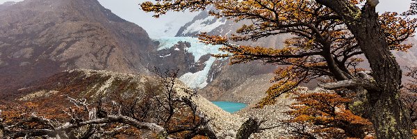 Patagonia, Lodowiec, Perito Moreno, Argentyna, Drzewa, Góry