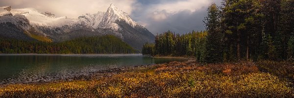 Kanada, Jesień, Drzewa, Canadian Rockies, Góry, Alberta, Jezioro