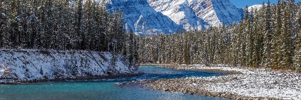 Bow River, Kanada, Zima, Alberta, Drzewa, Park Narodowy Banff, Rzeka, Las, Góry Skaliste, Prowincja, Śnieg