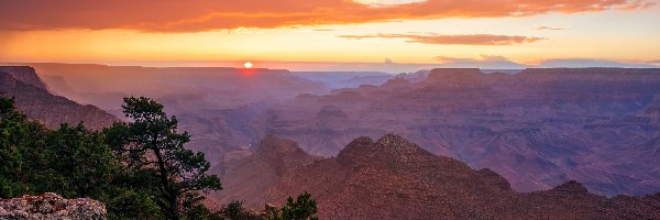 Drzewa, Wielki Kanion Kolorado, Stany Zjednoczone, Arizona, Paark Narodowy Wielkiego Kanionu, Sosny, Wschód słońca, Grand Canyon