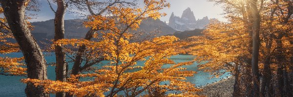 Fitz Roy, Patagonia, Jezioro, Promienie słońca, Góra, Jesień, Drzewa, Argentyna