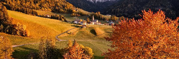 Domy, Góry, Santa Maddalena, Wieś, Dolomity, Jesień, Drzewa, Włochy