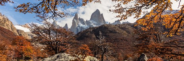 Skały, Góry Andy, Szczyt Fitz Roy, Patagonia, Argentyna, Jesień, Drzewa