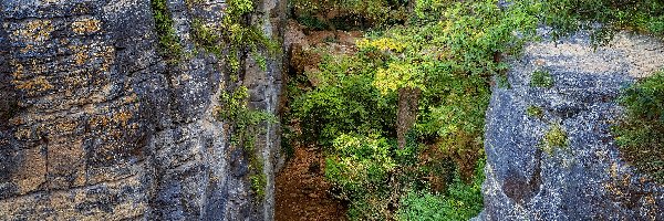 Badenia-Wirtembergia, Rezerwat przyrody, Hessigheimer Felsengarten, Niemcy, Drzewa, Skały
