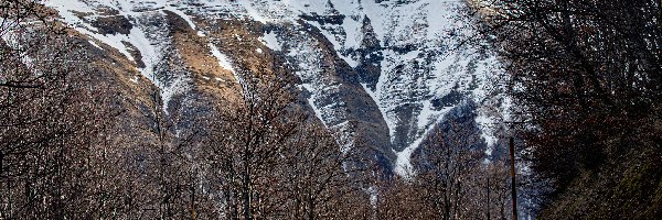 Park Narodowy Monti Sibillini, Góry, Góra Spina di Gualdo, Włochy, Drzewa, Droga