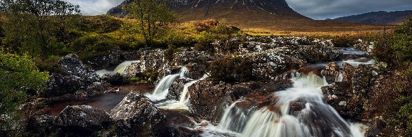 River Coupall, Buachaille Etive Mor, Szkocja, Highland, Rzeka, Kamienie, Drzewa, Góra