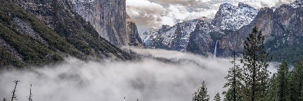 Stany Zjednoczone, Mgła, Chmury, Drzewa, Góry, Kalifornia, Park Narodowy Yosemite