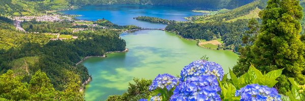 Wyspa Sao Miguel, Hortensje, Portugalia, Sete Cidades, Jezioro Verde, Góry, Lasy, Niebieskie, Jezioro Azul, Azory