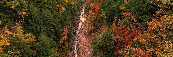 Rzeka, Vermont, Drzewa, Jesień, Hartford, Ottauquechee River, Wąwóz, Stany Zjednoczone