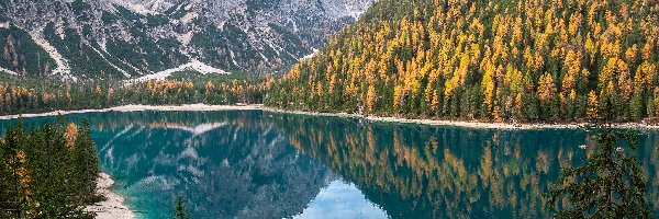 Włochy, Pragser Wildsee, Żółte, Jezioro, Góry, Odbicie, Drzewa