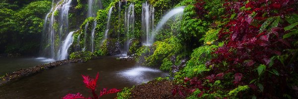 Banyu Wana Amertha Falls, Okręg Buleleng, Wodospad, Roślinność, Bali, Indonezja