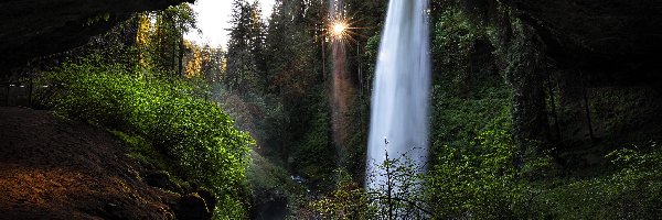Rośliny, Drzewa, Wodospad, Jaskinia, Skały, Stany Zjednoczone, Oregon, Silver Waterfall, Słońce