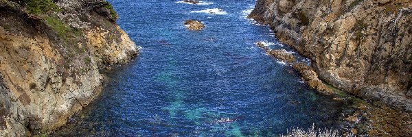 Drzewa, Skały, Stany Zjednoczone, Kalifornia, Zatoka, Rezerwat Point Lobos, Carmel by the Sea, Morze