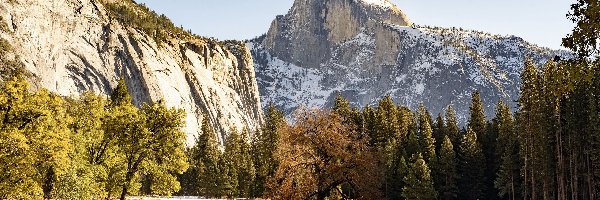 Szczyt, Park Narodowy Yosemite, Śnieg, Góry, Drzewa, Stany Zjednoczone, Kalifornia, Zima, Half Dome