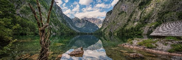 Drzewo, Uschnięte, Alpy, Góry, Jezioro Obersee, Niemcy, Bawaria, Chmury, Park Narodowy Berchtesgaden