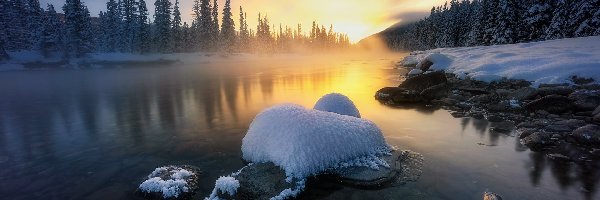 Park Narodowy Banff, Rzeka, Kanada, Mgła, Drzewa, Las, Wschód słońca, Zima, Bow River, Alberta