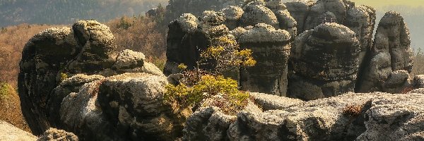 Formacja skalna, Góry Połabskie, Skały, Niemcy, Saska Szwajcaria