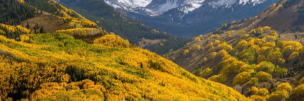 Las, Capitol Peak, Góry Elk, Kolorado, Stany Zjednoczone, Chmury, Jesień, Góra, Drzewa