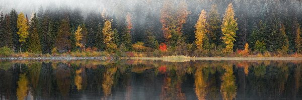 Mgła, Drzewa, Jezioro, Jesień
