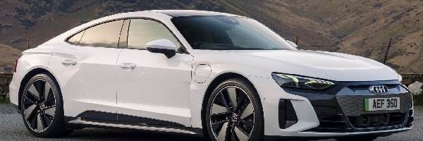 Audi e-Tron GT, Białe