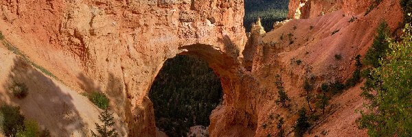 Kanion, Drzewa, Stany Zjednoczone, Utah, Łuk Natural Bridge, Bryce Canyon, Park Narodowy Bryce Canyon, Skały