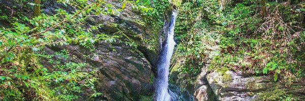 Japonia, Mitaru Gongen Waterfall, Rzeka, Wodospad, Skały, Prefektura Kochi, Rośliny