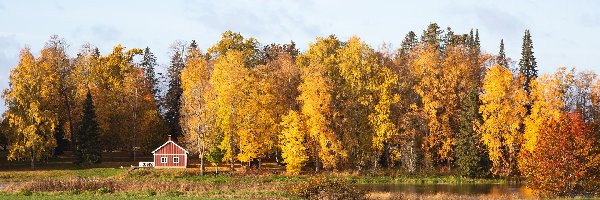 Jesień, Drzewa, Staw, Pole, Dom