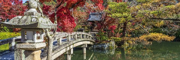 Kolorowe, Mostek, Japonia, Kioto, Latarnia, Drzewa, Ogród, Staw