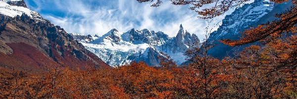 Drzewa, El Chalten, Góry, Patagonia, Argentyna, Jesień, Mount Fitz Roy