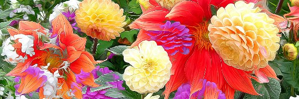 Kolorowe, Dalie, Kwiaty, Fractalius, Liście