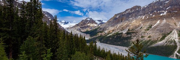 Jezioro, Prowincja Alberta, Drzewa, Las, Park Narodowym Banff, Peyto Lake, Góry, Kanada