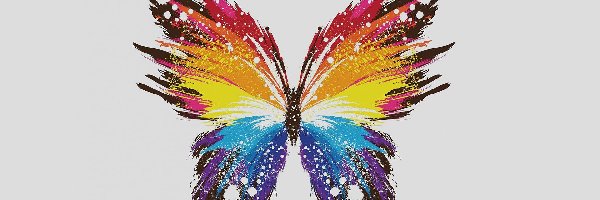 Motyl, Kolorowy, Grafika