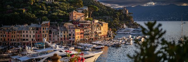 Portofino, Motorówki, Port, Włochy, Jachty, Domy