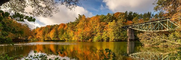 Jesień, Las, Drzewa, Chmury, Most, Jezioro